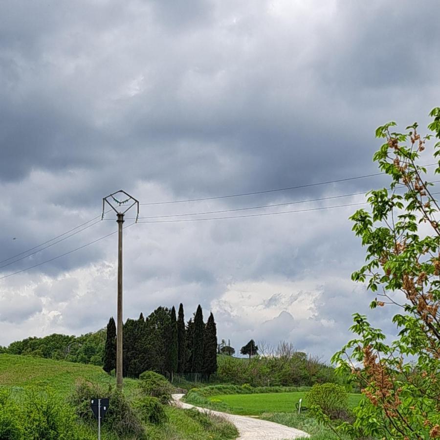 Affittacamere Alba Fiorita Castiglione d'Orcia Luaran gambar