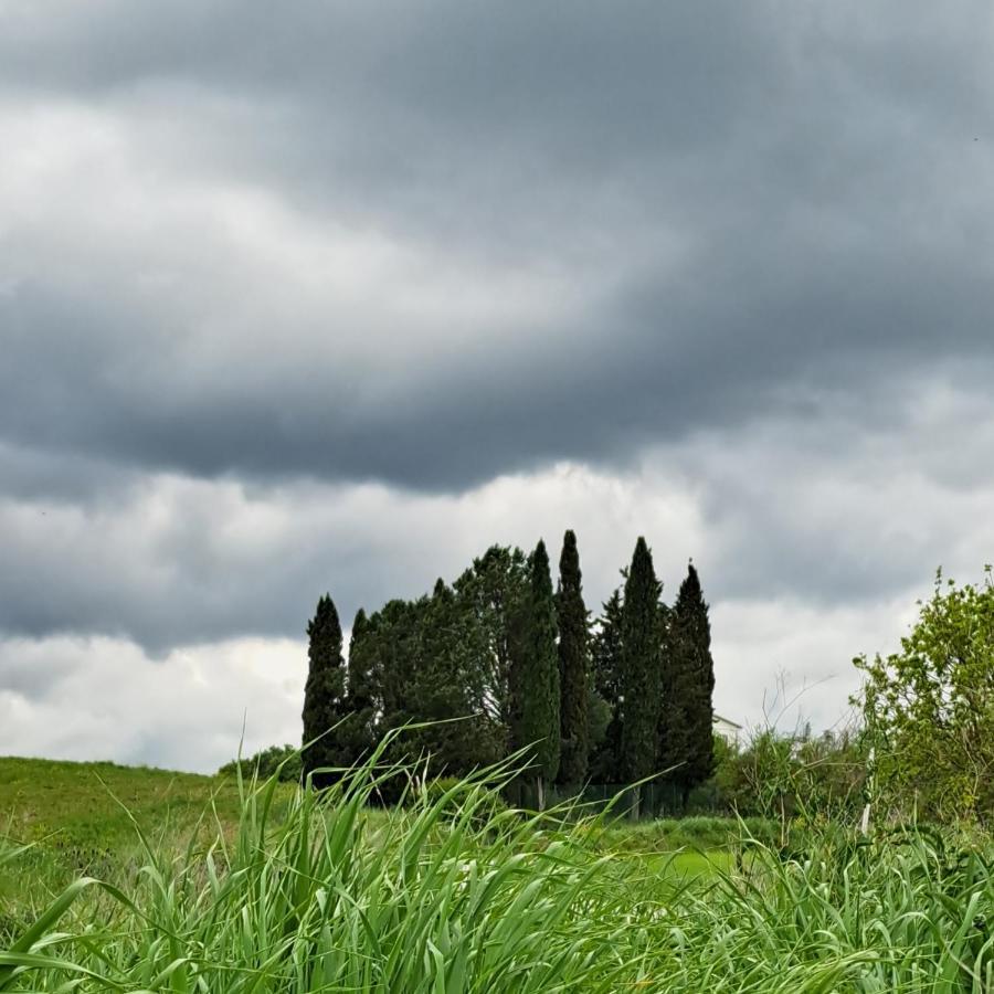 Affittacamere Alba Fiorita Castiglione d'Orcia Luaran gambar