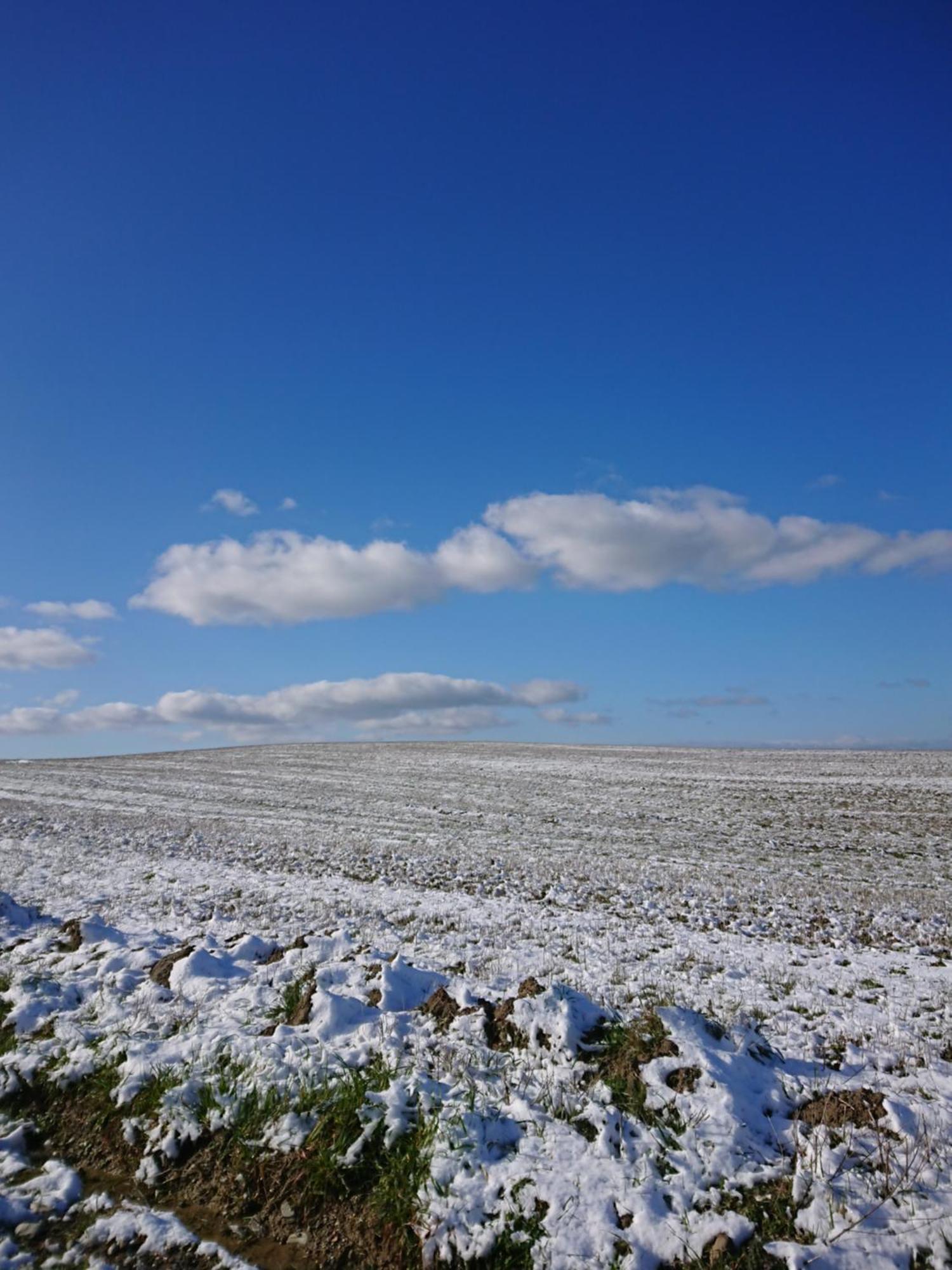 Affittacamere Alba Fiorita Castiglione d'Orcia Luaran gambar